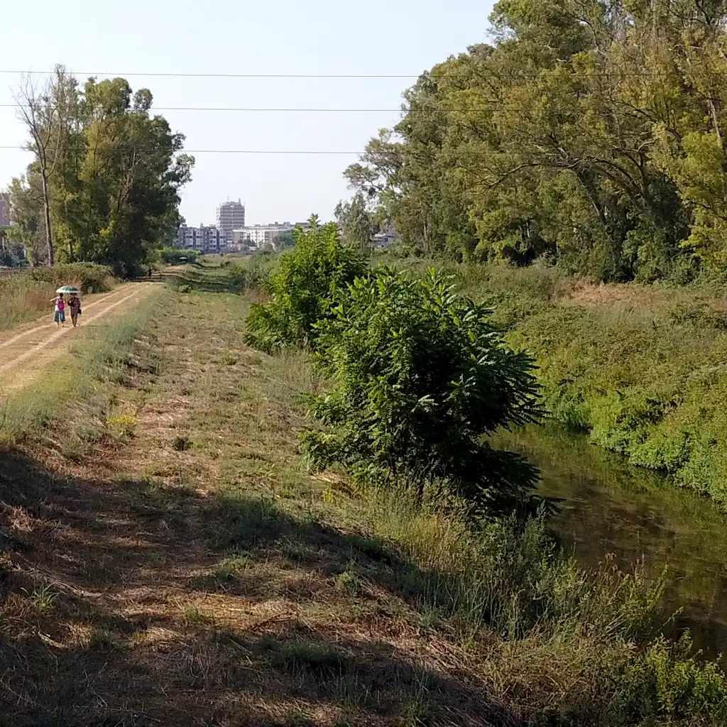 canale acque medie Latina